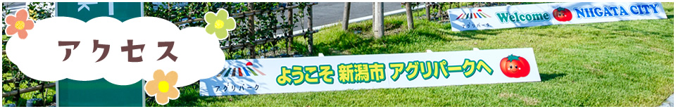 アクセス